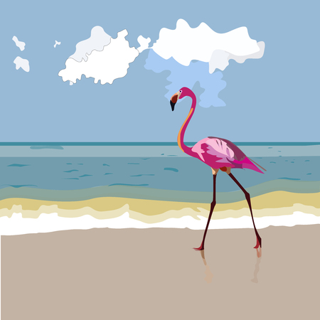 A wild pink flamingoのイラスト素材