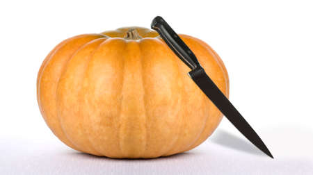 Pumpkin beauty - helloween pumpkin on white background in studioの写真素材