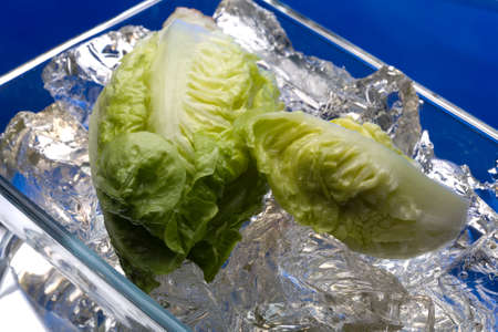 Fresh salad on crystal clear ice cubesの写真素材