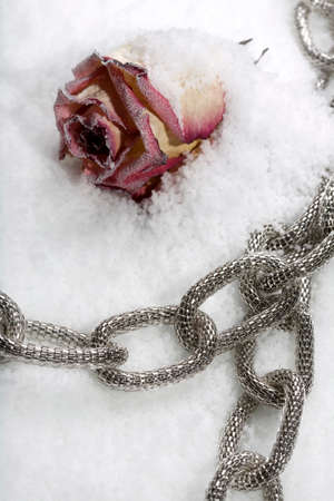 Costume jewellery and rose on ice in studioの写真素材