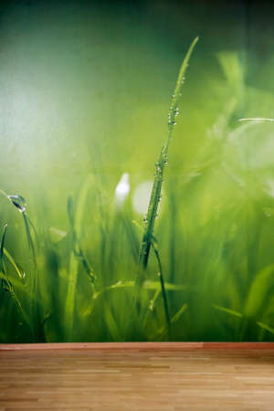 Photo of wall decorated with photo wallpaper with grass themeの写真素材
