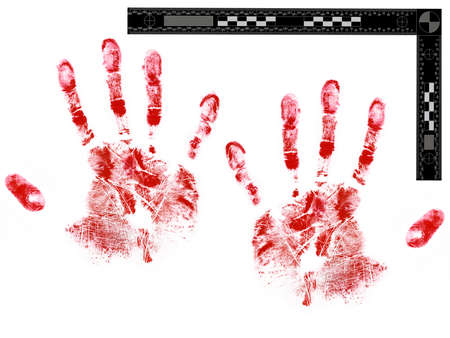 Bloody male hand prints with forensic scale on white backgroundの写真素材