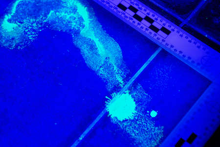 Evidence of footprint under UV lightの写真素材