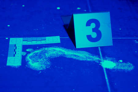 Footprint evidence on place of bloody crime under UV light