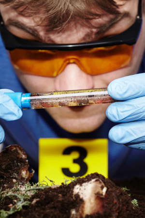Collecting of fly larva on crime scene by criminologistの写真素材