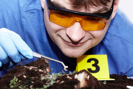 Collecting of fly larva on crime scene by criminologist