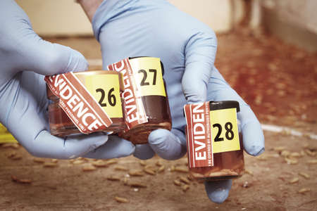 Sealing of fly larva on crime scene by criminologist in glass bottlesの写真素材