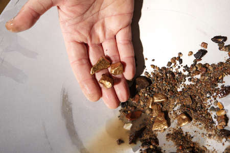 Detail of golden nuggets found by today prospector in sand of creek