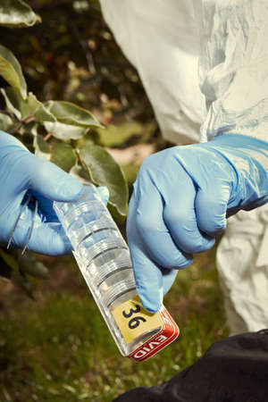 Collecting of fly larva around victim's body - sealing of evidence