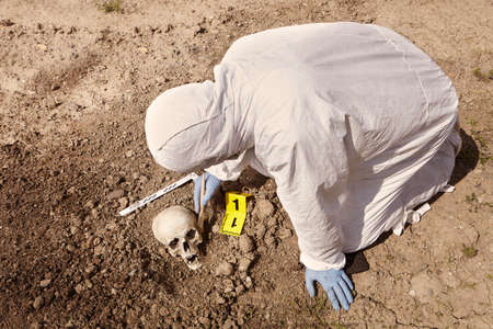 Uncovering of human skull found on plain construction yard during workの写真素材