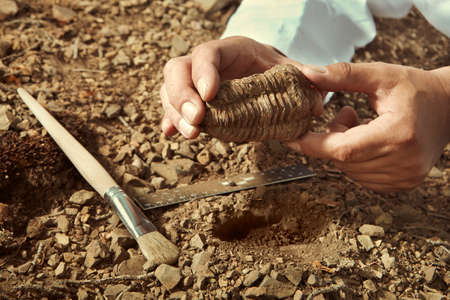 Scientist showing trilobite fossil find from ground