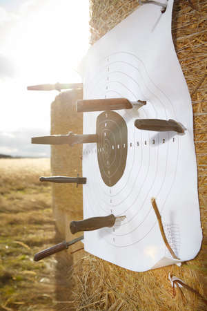 Detail of paper target with many of knives and daggers