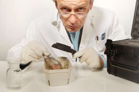 Museum specialist working with prehistorical artifact statueの写真素材