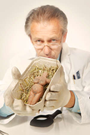 Museum specialist working with prehistorical artifact statueの写真素材