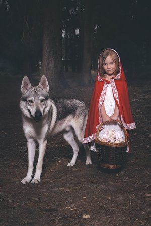 Little red riding hood with basket of food met wolf in deep forest