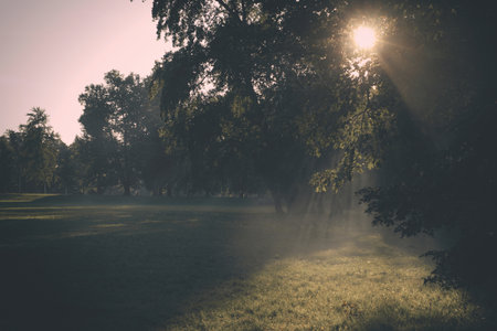 Older man uses two types of smoke machine generators on outdoor locationの写真素材
