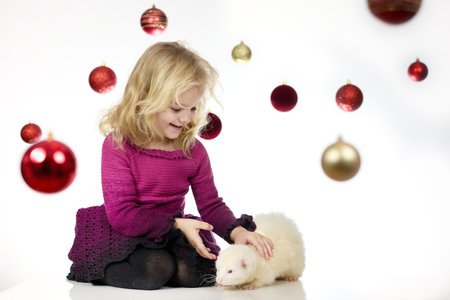 Nice little girl posing in studio for christmas portrait with ferretsの写真素材