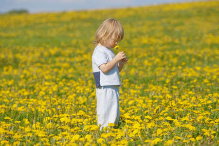 boy with long blond hair holding dandelion standing in a fieldの写真素材