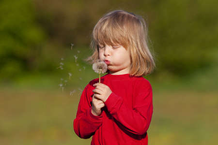 boy with long blond hair holding dandelion standing in a fieldの写真素材