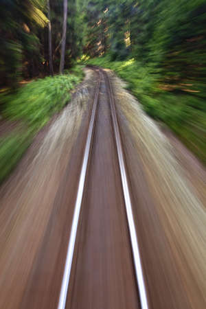 View of narrow gauge railroad track from rear window of train riding through forest