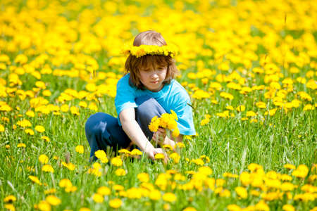 Boy with Blond Hair Picking Dandelions on a Meadowの写真素材