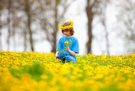 Boy with Blond Hair Picking Dandelions on a Meadowの写真素材