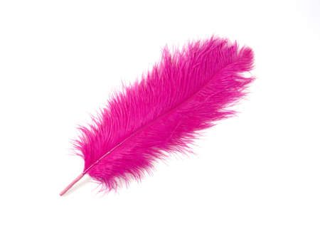 Colorful Artificial Feather Shot on White Backgroundの写真素材