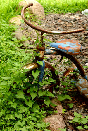 Rusty Bike with Vineの写真素材