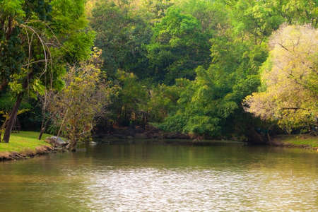 Bridge in a Park の写真素材