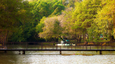 Bridge in a Park の写真素材