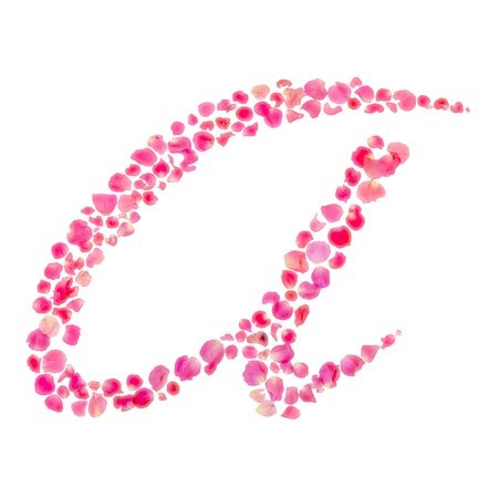 A Alphabet Composed with Rose Leaves Isolated on White の写真素材
