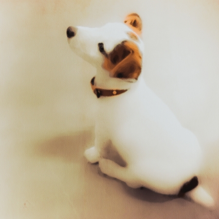 illustration of a dog on canvasの写真素材
