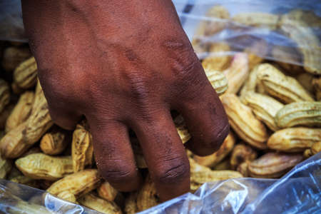 Peanuts in an Indian manの写真素材