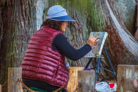 NARA, JAPAN - NOVEMBER 16  Senior Citizen in Nara, Japan on November 16, 2013  Unidentified old Japanese woman draws a gate of Tamukeyama Hachimangu in Nara Parkのeditorial素材