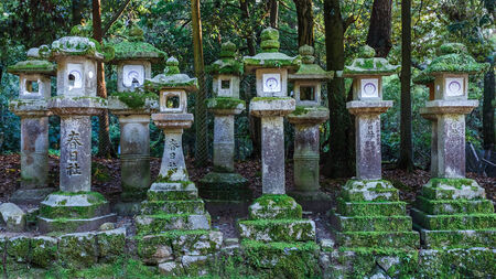 Stone Lanterns at Kasuga Taisha in Naraの写真素材