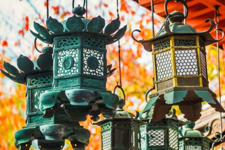 Bronze lanterns at Kasuga Taisha in Naraの写真素材