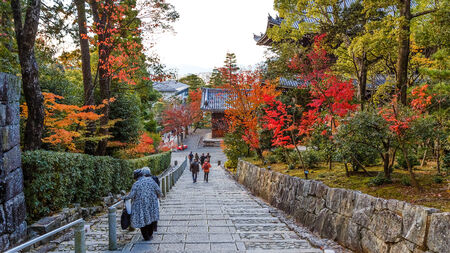 KYOTO, JAPAN - NOVEMBER 18  Chion-in Temple in Kyoto, Japan on November 18, 2013  Built in 1234 by Honenのeditorial素材