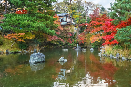 Maruyama Koen  Maruyama Park  in autumn, in Kyotoのeditorial素材