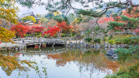 Maruyama Koen  Maruyama Park  in autumn, in Kyotoのeditorial素材
