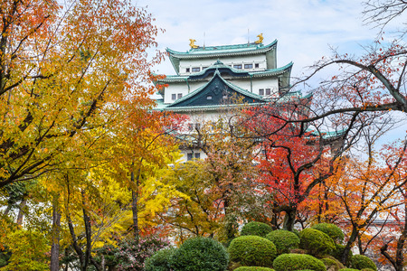 NAGOYA, JAPAN - NOVEMBER 21  Nagoya Castle in Nagoya, Japan on November 21, 2013  Built by Ieyasu Tokugawa between 1610 - 1612, burnt down in WWII and reconstructed in 1957のeditorial素材