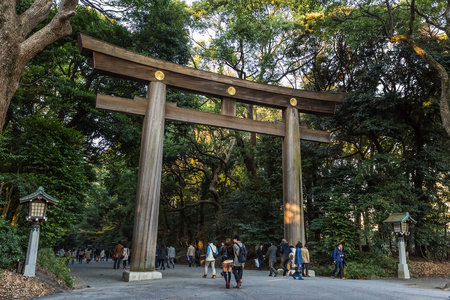 TOKYO, JAPAN - NOVEMBER 23  Meiji-jingu in Tokyo, Japan on November 23, 2013  The shrine officially designated one of Kanpei-taisha, the 1st rank of government supported shrinesのeditorial素材