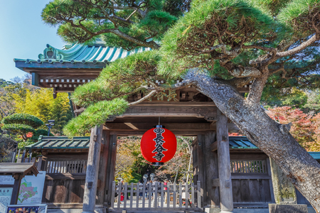 Red Giant Lantern at the Front gate of Hasedera Temple in Kamakuraのeditorial素材