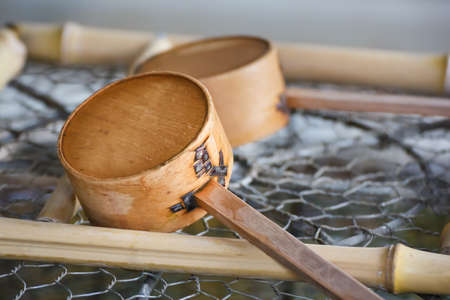Japanese water dippers in front of a templeの写真素材