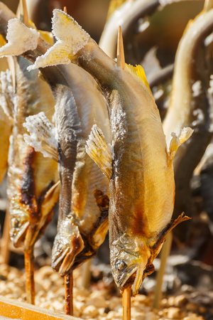Japanese grilled fishの写真素材