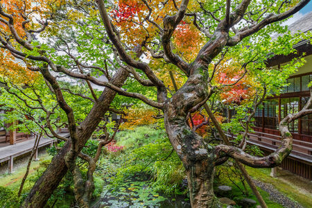 Eikando Zenrin-ji Temple in Kyoto, Japan