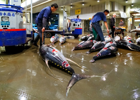 OSAKA, JAPAN - OCTOBER 24: Osaka Central Wholesale Market in Osaka, Japan on October 24, 2014. Renowed as the Kitchen of Osaka and itのeditorial素材
