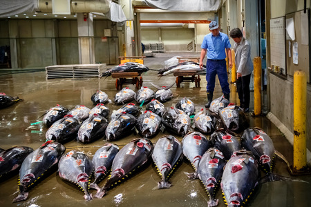 OSAKA, JAPAN - OCTOBER 24: Osaka Central Wholesale Market in Osaka, Japan on October 24, 2014. Renowed as the Kitchen of Osaka and itのeditorial素材