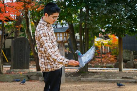 MATSUMOTO, JAPAN - NOVEMBER 21, 2015: Unidentified Japanese feeds pigeons on Yohashira shrine's groundのeditorial素材