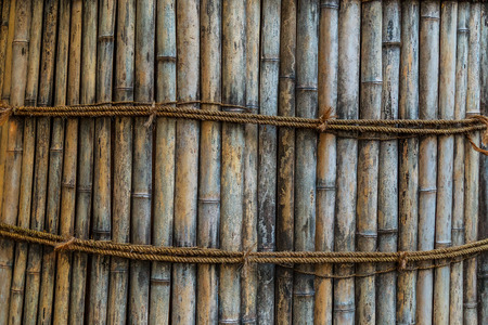 Bamboo that used for protecting pine trees at Ise-jingu shrineの写真素材