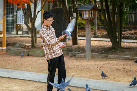 MATSUMOTO, JAPAN - NOVEMBER 21, 2015: Unidentified Japanese feeds pigeons on Yohashira shrine's groundのeditorial素材